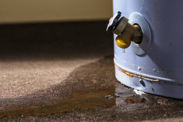 Best Commercial water damage restoration  in Boulder, MT