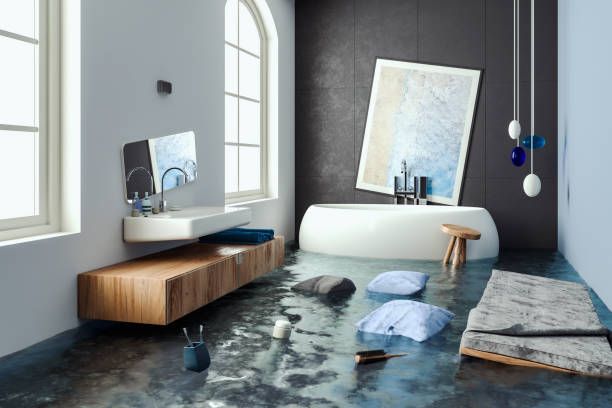 Best Professional water damage repair  in Boulder, MT