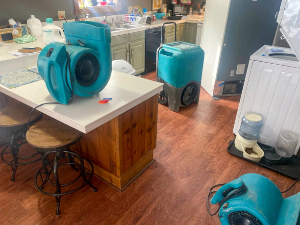 Best 24-hour water damage restoration  in Boulder, MT