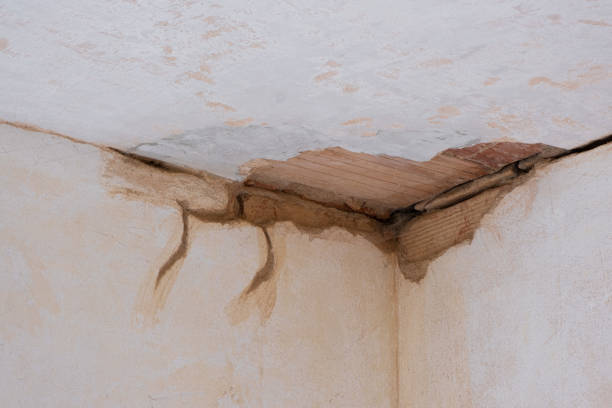 Best Flood damage cleanup  in Boulder, MT