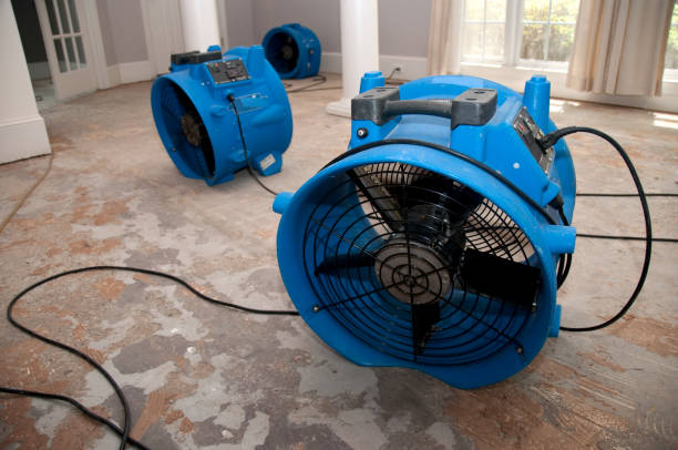 Best Water damage cleanup near me  in Boulder, MT