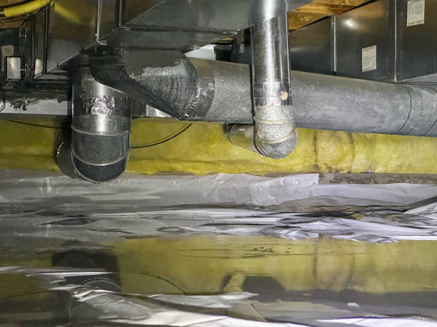 Best Water damage cleanup near me  in Boulder, MT